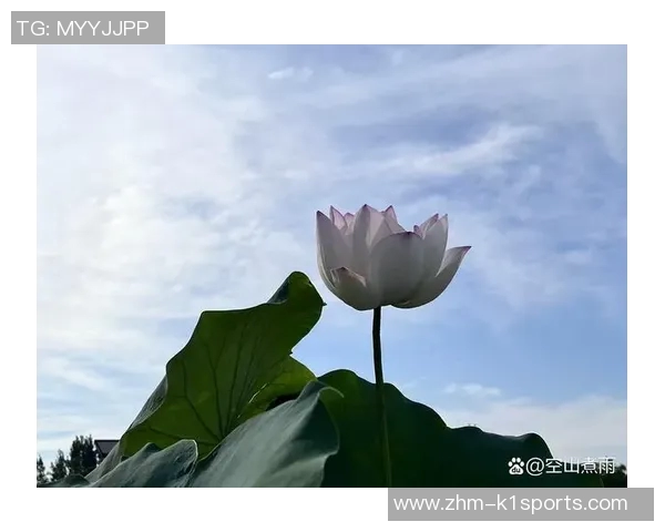 熏风与自然的对话在心灵深处绽放的诗意与宁静